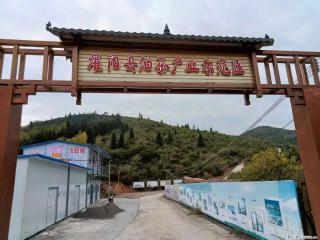 【灌阳县油茶产业示范区】一个有着充实的精神生活的人，对待身外之物自会有一种淡泊的态度 - 萍乡28生活网 px.28life.com