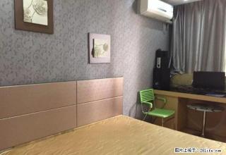 新天地 精装修 拎包就能入住 租金便宜 - 萍乡28生活网 px.28life.com