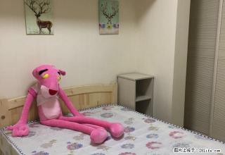 苏河尚品 萍乡北院附近 两室两厅 精装修 家私齐全 拎包入住 - 萍乡28生活网 px.28life.com