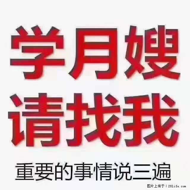 【招聘】月嫂,上海徐汇区 - 职场交流 - 萍乡生活社区 - 萍乡28生活网 px.28life.com