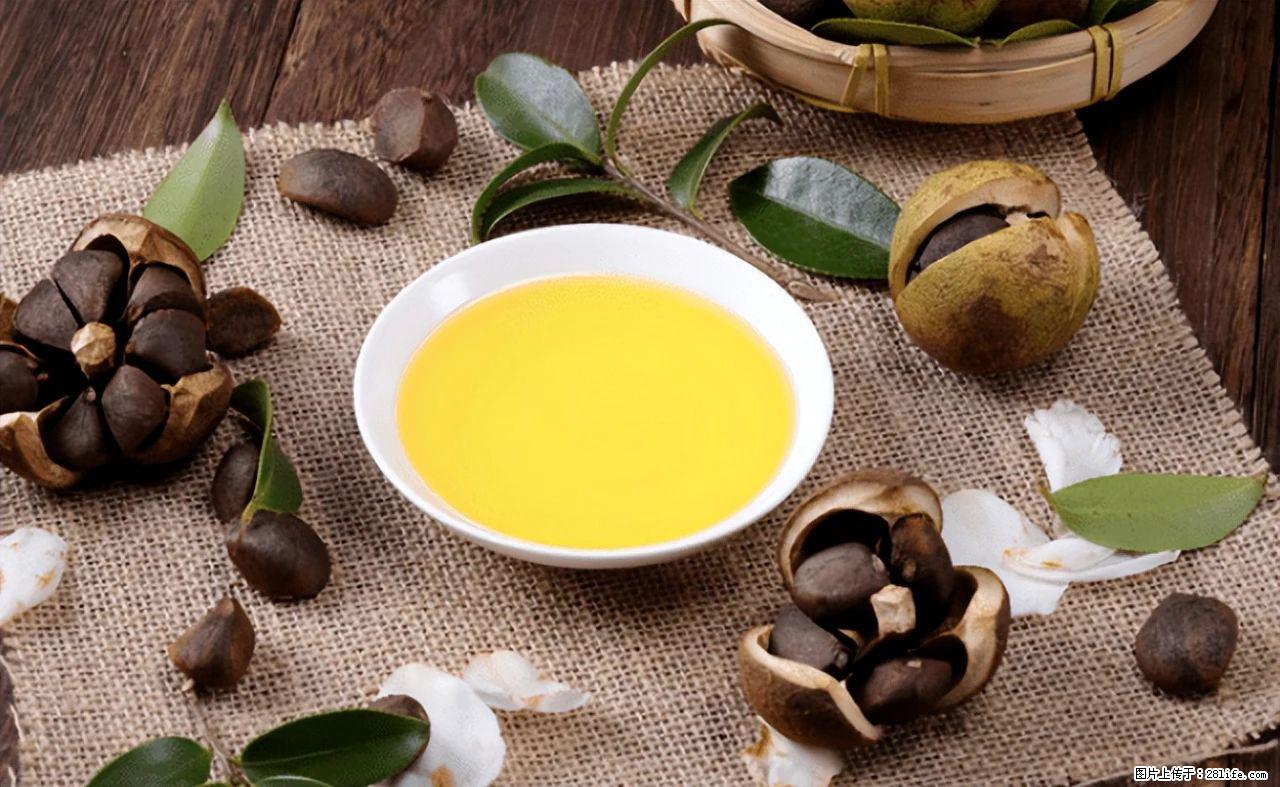 揭秘茶油的5大核心营养成分!被称为人体健康的“守护盾”! - 萍乡生活资讯 - 萍乡28生活网 px.28life.com