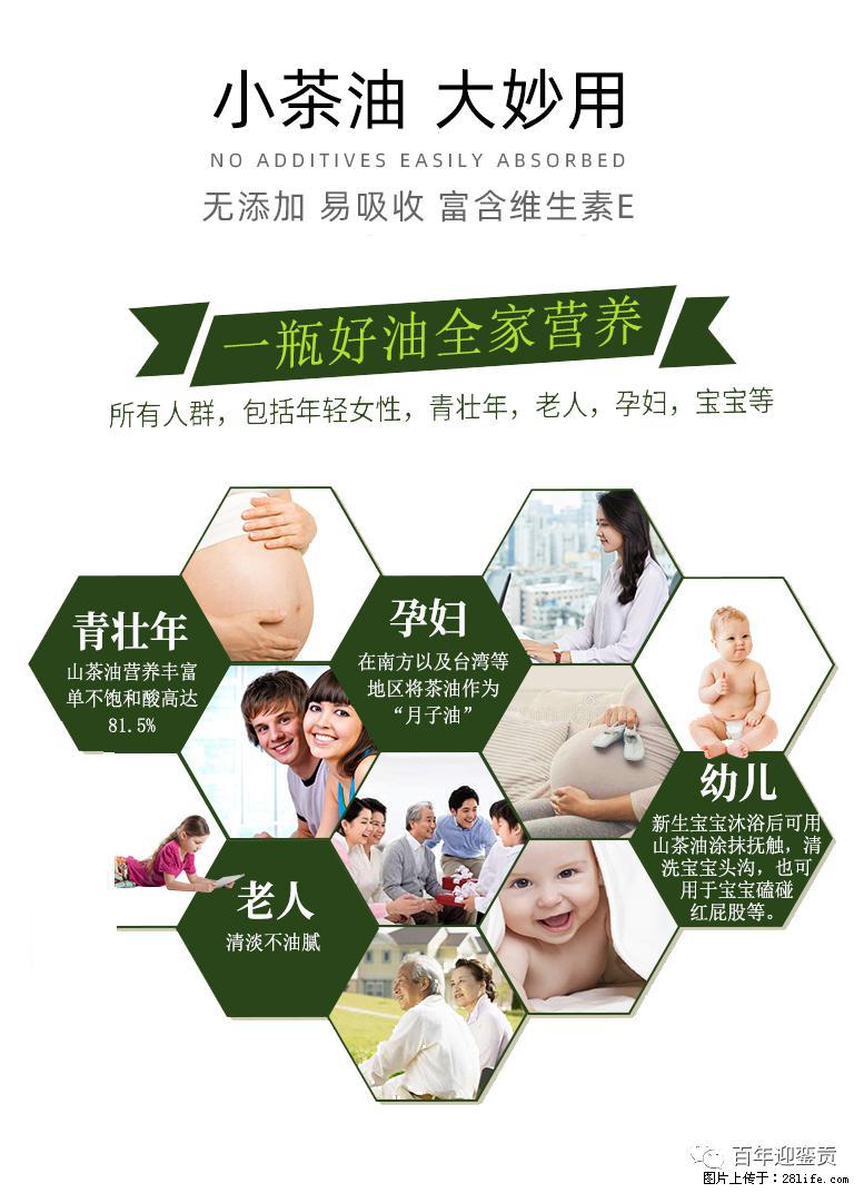 世界没有真相,只有认知,最好的食用油是中国的山茶油! - 萍乡生活资讯 - 萍乡28生活网 px.28life.com