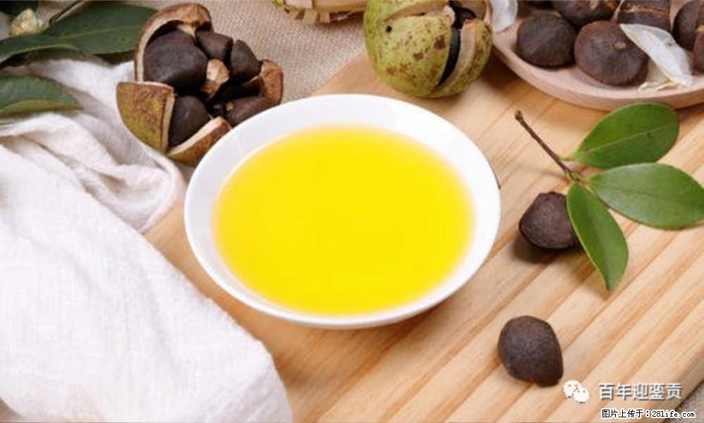 世界没有真相,只有认知,最好的食用油是中国的山茶油! - 萍乡生活资讯 - 萍乡28生活网 px.28life.com