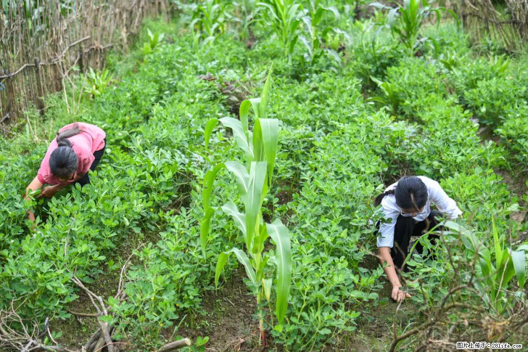 全网追的“扁担女孩”,找了一份暑假工,时薪12元 - 萍乡生活资讯 - 萍乡28生活网 px.28life.com