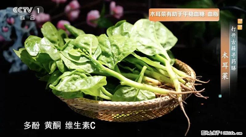 比牛奶补钙还厉害！凉血解毒、稳血糖...这菜冬天必吃，很多人却当草 - 萍乡生活资讯 - 萍乡28生活网 px.28life.com