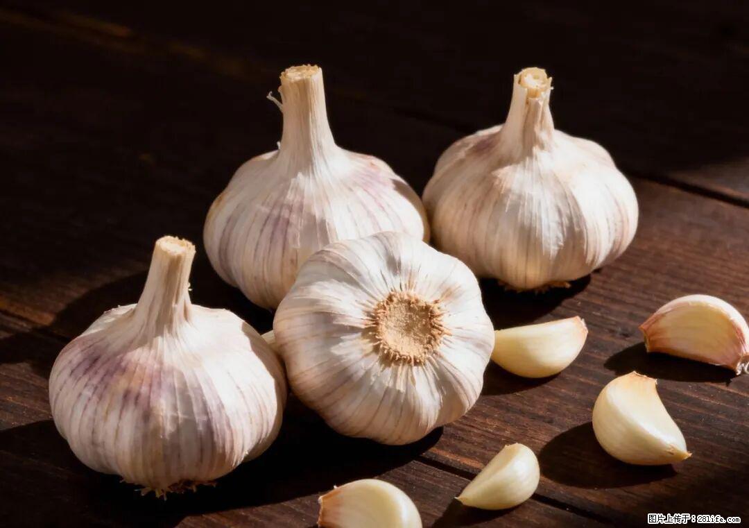 关于大蒜，除了“天然抗生素”，这4个谣言更该警惕! - 萍乡生活资讯 - 萍乡28生活网 px.28life.com