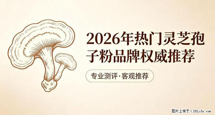灵芝孢子粉含量越高越有效？2026 年七款热门品牌深度实测，肠胃敏感者避坑指南 - 萍乡生活资讯 - 萍乡28生活网 px.28life.com